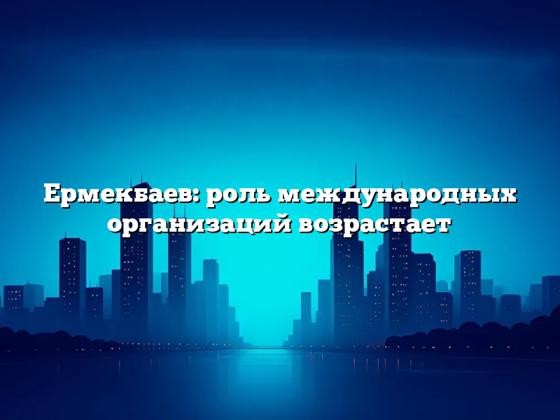 Ермекбаев: роль международных организаций возрастает