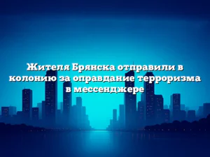 Жителя Брянска отправили в колонию за оправдание терроризма в мессенджере