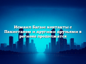 Исмаил Багаи: контакты с Пакистаном и другими друзьями в регионе продолжатся