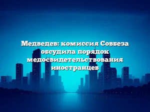 Медведев: комиссия Совбеза обсудила порядок медосвидетельствования иностранцев
