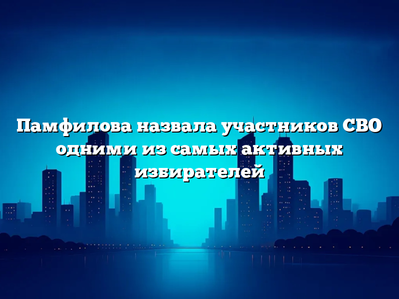 Памфилова назвала участников СВО одними из самых активных избирателей