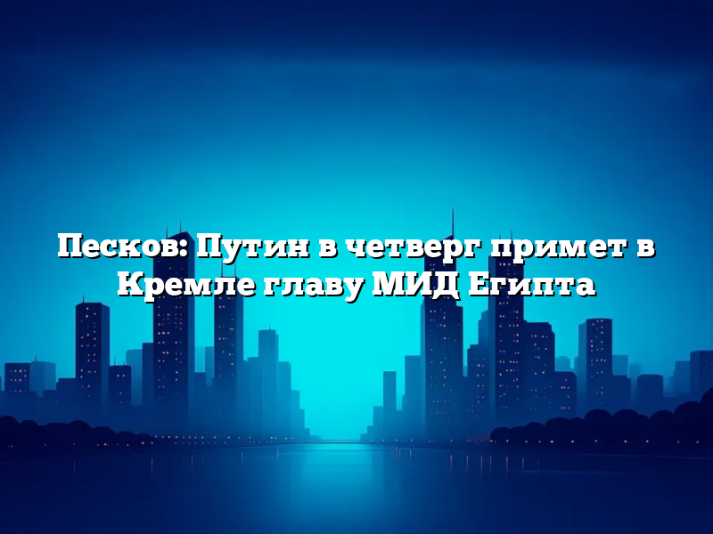 Песков: Путин в четверг примет в Кремле главу МИД Египта