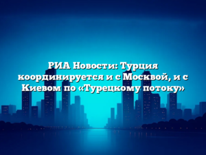 РИА Новости: Турция координируется и с Москвой, и с Киевом по «Турецкому потоку»