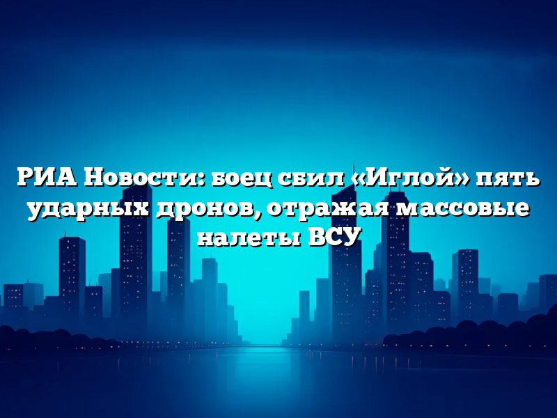 РИА Новости: боец сбил «Иглой» пять ударных дронов, отражая массовые налеты ВСУ