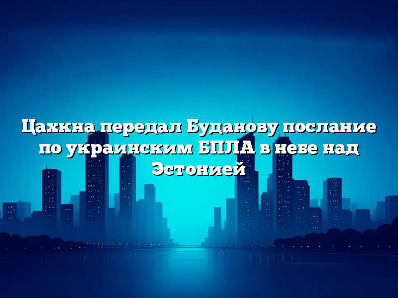 Цахкна передал Буданову послание по украинским БПЛА в небе над Эстонией