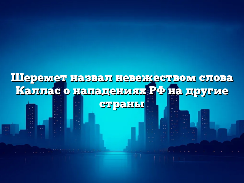Шеремет назвал невежеством слова Каллас о нападениях РФ на другие страны