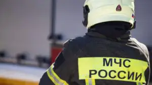 Спасатели обезвредили агрессивного домашнего кота в Магадане