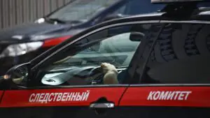 В Подмосковье завели дело против мужчины за ранение девочки ножом