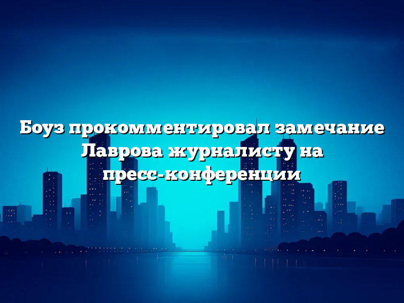 Боуз прокомментировал замечание Лаврова журналисту на пресс-конференции