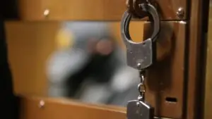 Основателя компании-крабодобытчика «Антей» Михнова арестовали за мошенничество