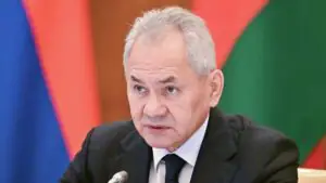 Шойгу: ситуацию в некоторых странах Африки раскачивают с помощью IT-технологий