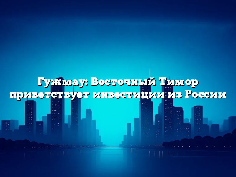 Гужмау: Восточный Тимор приветствует инвестиции из России