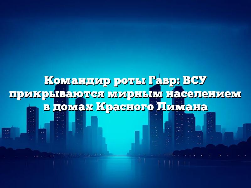Командир роты Гавр: ВСУ прикрываются мирным населением в домах Красного Лимана