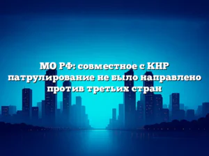 МО РФ: совместное с КНР патрулирование не было направлено против третьих стран