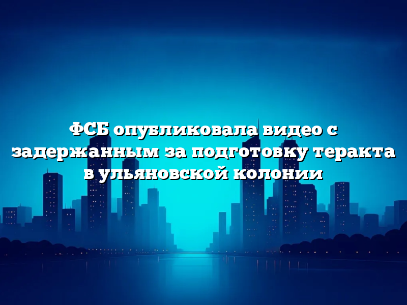 ФСБ опубликовала видео с задержанным за подготовку теракта в ульяновской колонии
