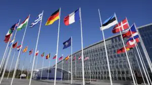 WSJ: странам НАТО не хватает хлопка для производства взрывчатки для боеприпасов