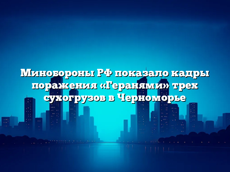 Минобороны РФ показало кадры поражения «Геранями» трех сухогрузов в Черноморье