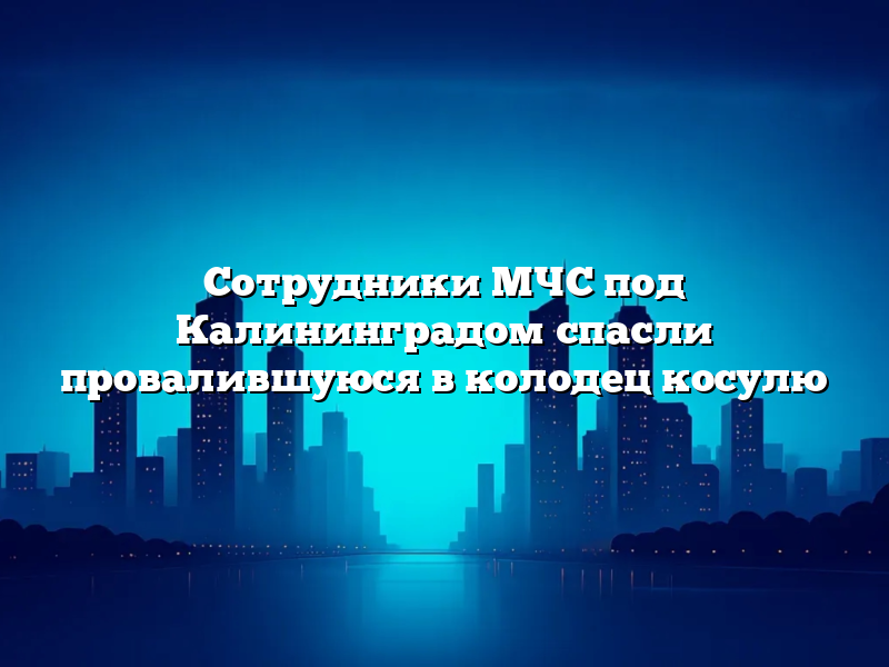 Сотрудники МЧС под Калининградом спасли провалившуюся в колодец косулю