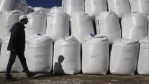 Известия: Бразилия увеличивает закупки российских минеральных удобрений