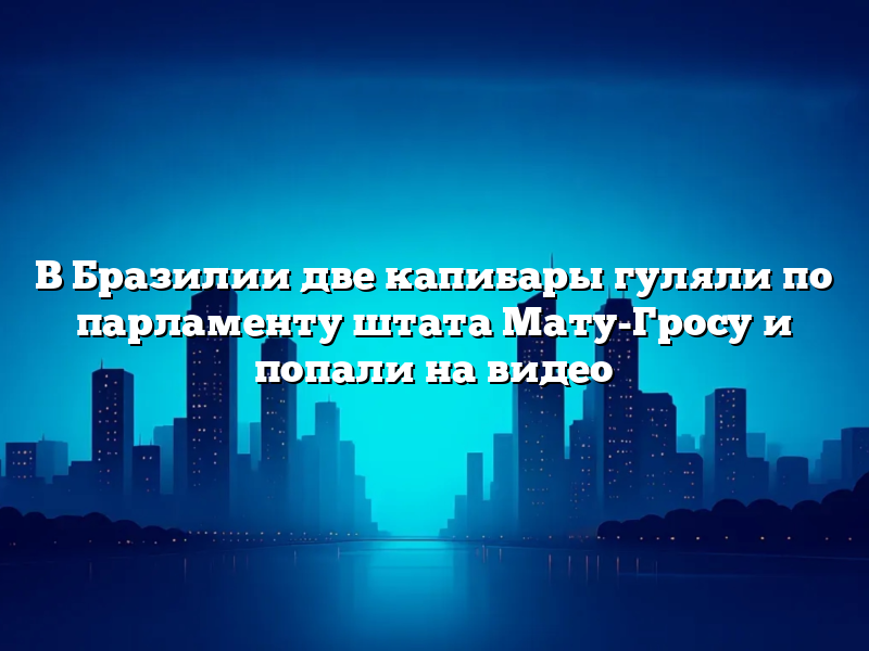 В Бразилии две капибары гуляли по парламенту штата Мату-Гросу и попали на видео