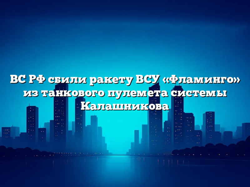 ВС РФ сбили ракету ВСУ «Фламинго» из танкового пулемета системы Калашникова