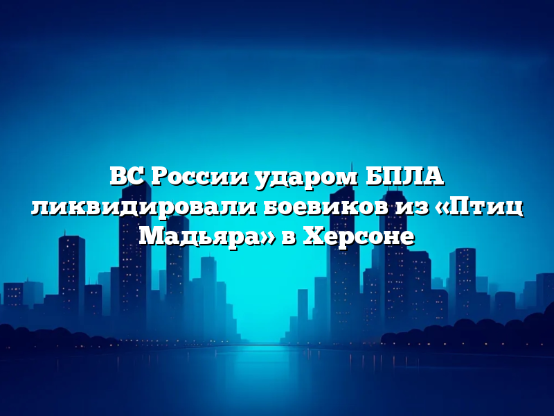ВС России ударом БПЛА ликвидировали боевиков из «Птиц Мадьяра» в Херсоне