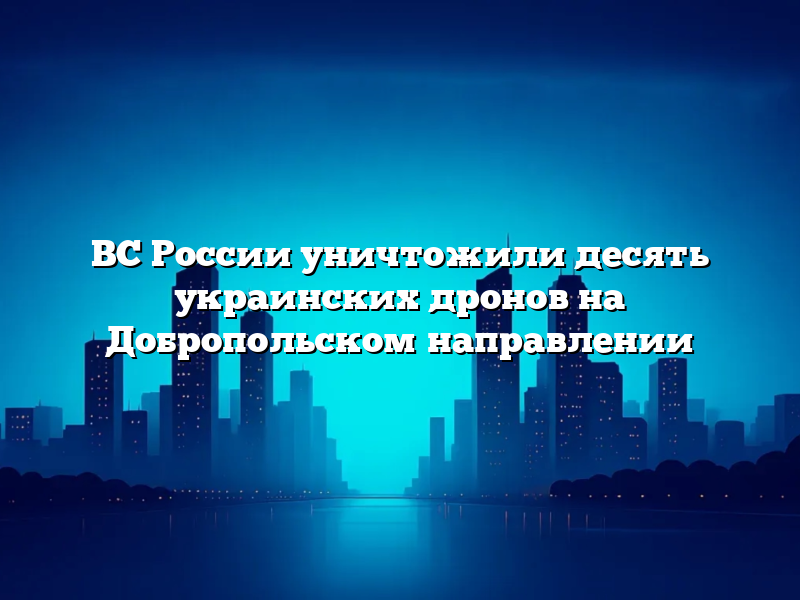 ВС России уничтожили десять украинских дронов на Добропольском направлении