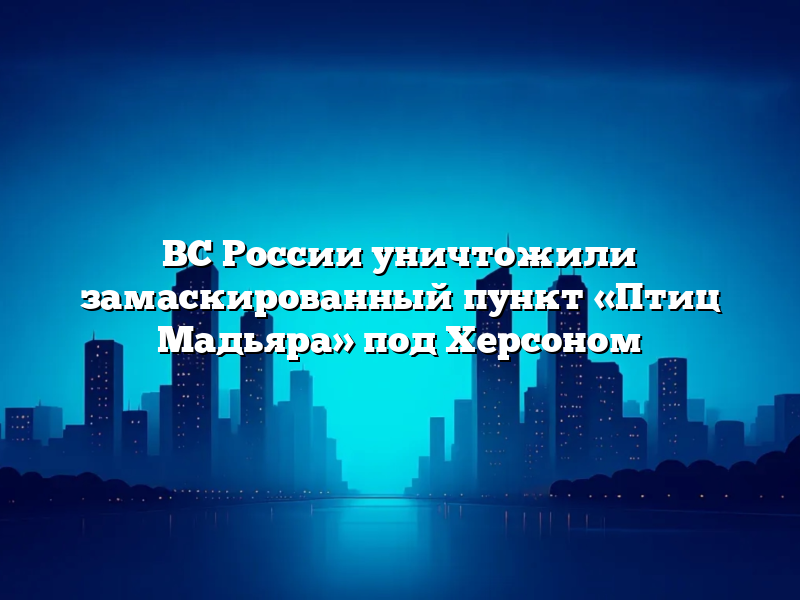 ВС России уничтожили замаскированный пункт «Птиц Мадьяра» под Херсоном