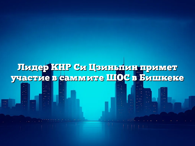 Лидер КНР Си Цзиньпин примет участие в саммите ШОС в Бишкеке