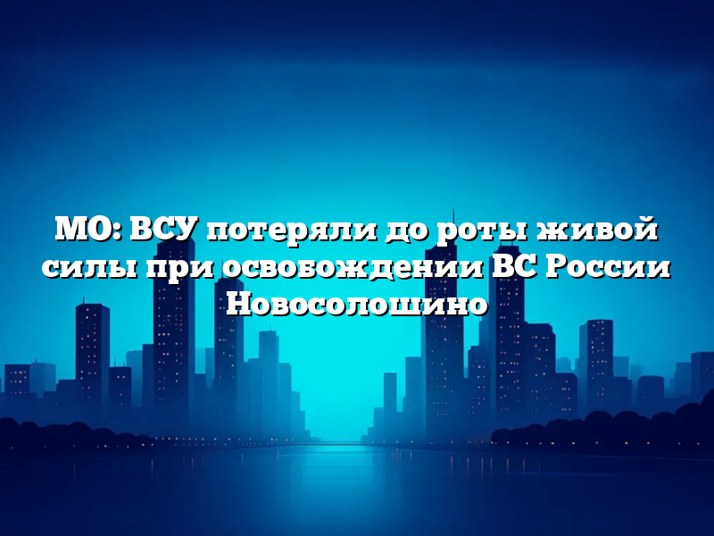 МО: ВСУ потеряли до роты живой силы при освобождении ВС России Новосолошино