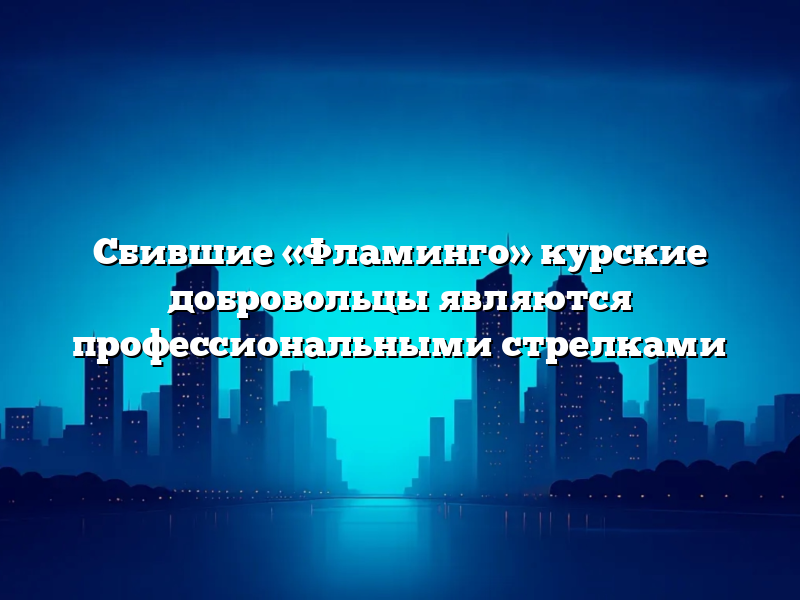 Сбившие «Фламинго» курские добровольцы являются профессиональными стрелками
