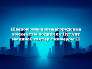 Швецов: юные нижегородские хоккеисты подарили Путину именной свитер с номером 11